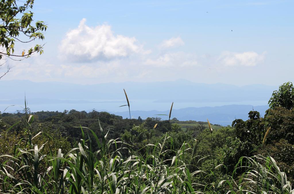 Casa Canitas Monteverde Bagian luar foto
